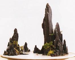 《青山倚天》（斧劈石） 盆长90CM 盆景世界作 拷贝