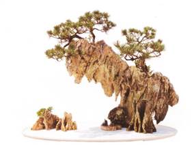 山水