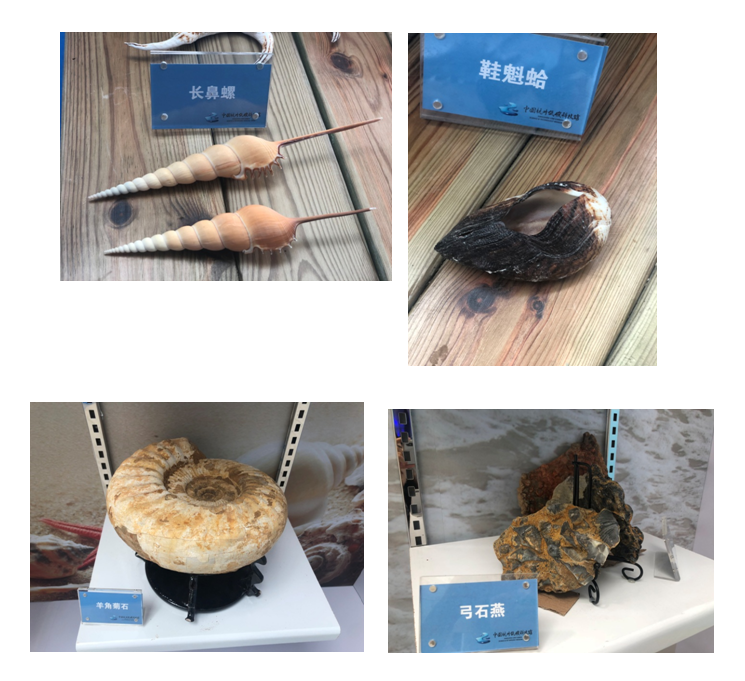 QQ图片20180927091831.png