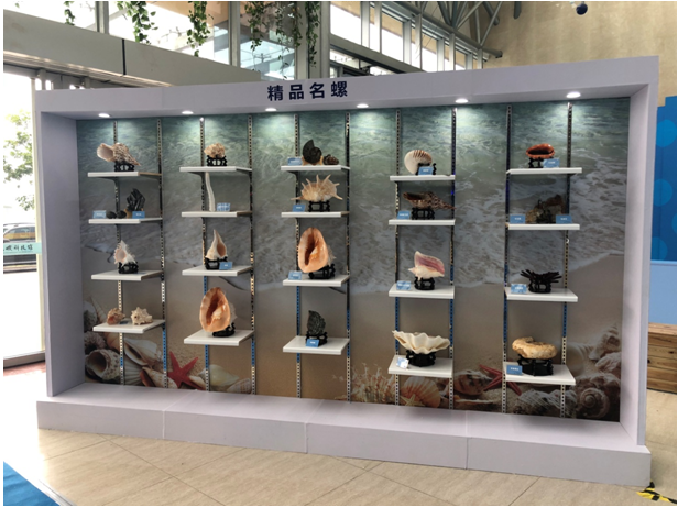 QQ图片20180927091649.png