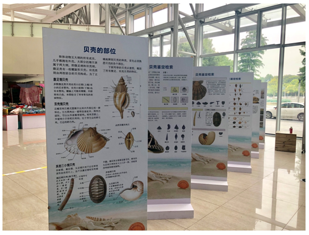 QQ图片20180927091908.png